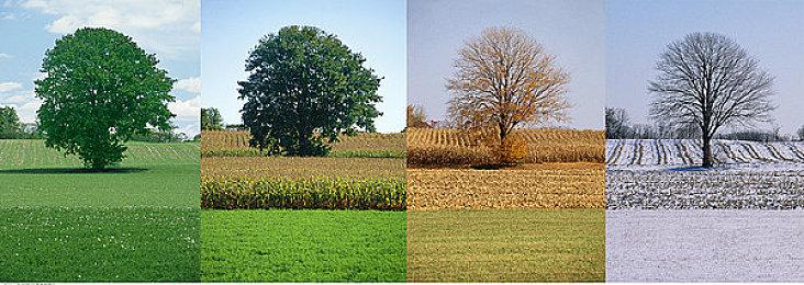 《Dreadhunter》steam抢先体验开启 俯视角动作RPG